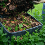 12 Fast-Growing Shrubs That Create Privacy (Naturally!) 🌿